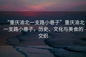 “重慶渝北一支路小巷子”重慶渝北一支路小巷子，歷史、文化與美食的交織