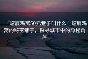 “塘廈雞窩50元巷子叫什么”塘廈雞窩的秘密巷子，探尋城市中的隱秘角落