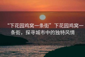 “下花園雞窩一條街”下花園雞窩一條街，探尋城市中的獨(dú)特風(fēng)情