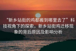 “新鄉(xiāng)站街的雞都搬到哪里去了”科技視角下的探索，新鄉(xiāng)站街雞遷移現(xiàn)象的背后原因及影響分析