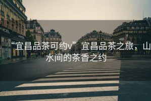 “宜昌品茶可約v”宜昌品茶之旅，山水間的茶香之約