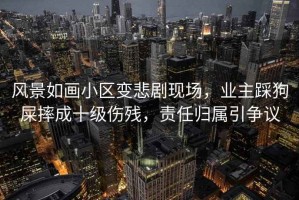 風(fēng)景如畫小區(qū)變悲劇現(xiàn)場，業(yè)主踩狗屎摔成十級傷殘，責(zé)任歸屬引爭議