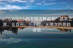 “500元3小時(shí)不限次數(shù)品茶”品茶之旅，五百元，三小時(shí)，無限次的茶韻體驗(yàn)
