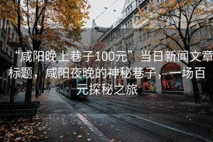 “咸陽(yáng)晚上巷子100元”當(dāng)日新聞文章標(biāo)題，咸陽(yáng)夜晚的神秘巷子，一場(chǎng)百元探秘之旅