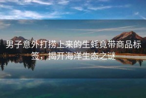 男子意外打撈上來的生蠔竟帶商品標簽，揭開海洋生態(tài)之謎