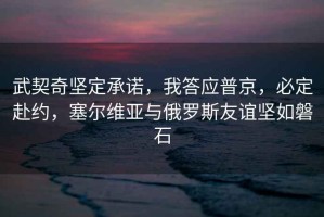 武契奇堅定承諾，我答應(yīng)普京，必定赴約，塞爾維亞與俄羅斯友誼堅如磐石