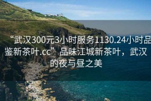 “武漢300元3小時服務1130.24小時品鑒新茶葉.cc”品味江城新茶葉，武漢的夜與晝之美