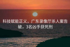 科技賦能正義，廣東錄像廳殺人案告破，3名兇手獲死刑