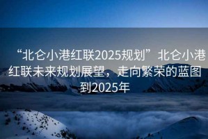 “北侖小港紅聯(lián)2025規(guī)劃”北侖小港紅聯(lián)未來規(guī)劃展望，走向繁榮的藍圖到2025年