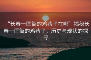 “長(zhǎng)春一匡街的雞巷子在哪”揭秘長(zhǎng)春一匡街的雞巷子，歷史與現(xiàn)狀的探尋