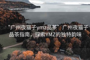 “廣州夜貓子ymz品茶”廣州夜貓子品茶指南，探索YMZ的獨特韻味