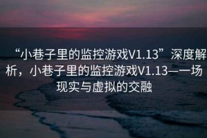 “小巷子里的監(jiān)控游戲V1.13”深度解析，小巷子里的監(jiān)控游戲V1.13—一場現實與虛擬的交融