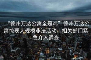 “德州萬達(dá)公寓全是雞”德州萬達(dá)公寓驚現(xiàn)大規(guī)模非法活動，相關(guān)部門緊急介入調(diào)查