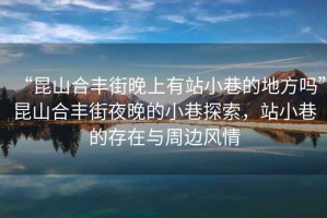 “昆山合豐街晚上有站小巷的地方嗎”昆山合豐街夜晚的小巷探索，站小巷的存在與周邊風情