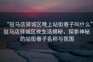 “駐馬店驛城區(qū)晚上站街巷子叫什么”駐馬店驛城區(qū)夜生活揭秘，探索神秘的站街巷子名稱與氛圍