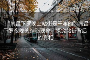 “南昌下羅晚上站街是干嘛的”南昌下羅夜晚的神秘現(xiàn)象，探究站街背后的真相