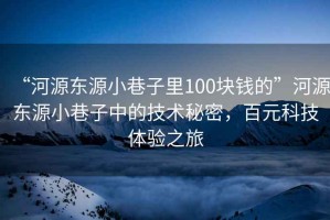 “河源東源小巷子里100塊錢的”河源東源小巷子中的技術(shù)秘密，百元科技體驗之旅