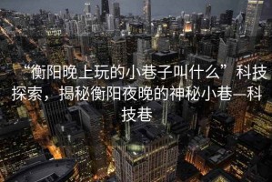 “衡陽(yáng)晚上玩的小巷子叫什么”科技探索，揭秘衡陽(yáng)夜晚的神秘小巷—科技巷