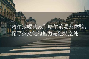 “哈爾濱喝茶vx”哈爾濱喝茶體驗，探尋茶文化的魅力與獨特之處
