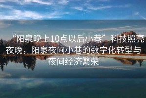“陽泉晚上10點(diǎn)以后小巷”科技照亮夜晚，陽泉夜間小巷的數(shù)字化轉(zhuǎn)型與夜間經(jīng)濟(jì)繁榮