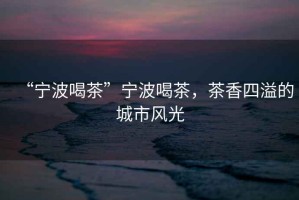“寧波喝茶”寧波喝茶，茶香四溢的城市風(fēng)光