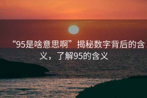 “95是啥意思啊”揭秘?cái)?shù)字背后的含義，了解95的含義