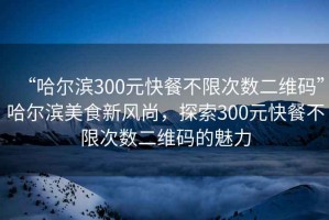 “哈爾濱300元快餐不限次數(shù)二維碼”哈爾濱美食新風尚，探索300元快餐不限次數(shù)二維碼的魅力