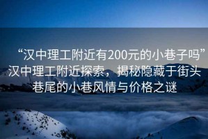 “漢中理工附近有200元的小巷子嗎”漢中理工附近探索，揭秘隱藏于街頭巷尾的小巷風(fēng)情與價(jià)格之謎