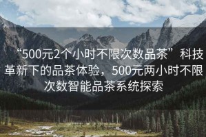 “500元2個(gè)小時(shí)不限次數(shù)品茶”科技革新下的品茶體驗(yàn)，500元兩小時(shí)不限次數(shù)智能品茶系統(tǒng)探索