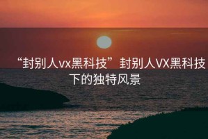 “封別人vx黑科技”封別人VX黑科技下的獨(dú)特風(fēng)景