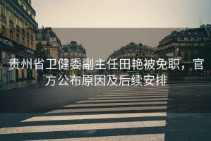 貴州省衛(wèi)健委副主任田艷被免職，官方公布原因及后續(xù)安排