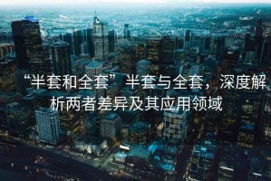“半套和全套”半套與全套，深度解析兩者差異及其應(yīng)用領(lǐng)域