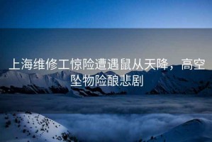 上海維修工驚險遭遇鼠從天降，高空墜物險釀悲劇