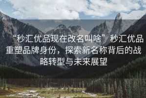 “秒?yún)R優(yōu)品現(xiàn)在改名叫啥”秒?yún)R優(yōu)品重塑品牌身份，探索新名稱背后的戰(zhàn)略轉(zhuǎn)型與未來展望