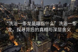 “洗浴一條龍是暗指什么”洗浴一條龍，探尋背后的真相與深層含義