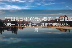 “寧國北園路100元小巷子”寧國北園路的一百元小巷子，城市中的隱秘風景