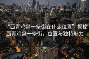 “西青雞窩一條街在什么位置”揭秘西青雞窩一條街，位置與獨(dú)特魅力