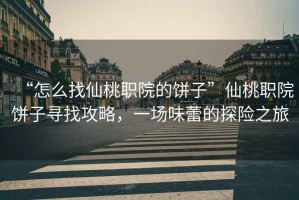 “怎么找仙桃職院的餅子”仙桃職院餅子尋找攻略，一場味蕾的探險之旅