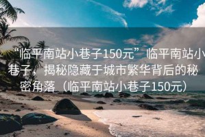 “臨平南站小巷子150元”臨平南站小巷子，揭秘隱藏于城市繁華背后的秘密角落（臨平南站小巷子150元）