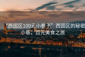 “西固區(qū)100元小巷子”西固區(qū)的秘密小巷，百元美食之旅