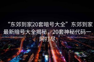 “東郊到家20套暗號(hào)大全”東郊到家最新暗號(hào)大全揭秘，20套神秘代碼一網(wǎng)打盡