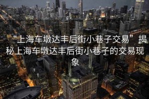 “上海車墩達(dá)豐后街小巷子交易”揭秘上海車墩達(dá)豐后街小巷子的交易現(xiàn)象