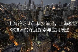 “上海驗(yàn)證kb”科技前沿，上海驗(yàn)證KB技術(shù)的深度探索與應(yīng)用展望