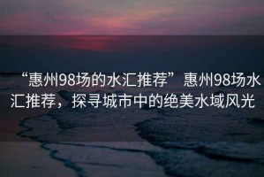 “惠州98場的水匯推薦”惠州98場水匯推薦，探尋城市中的絕美水域風光