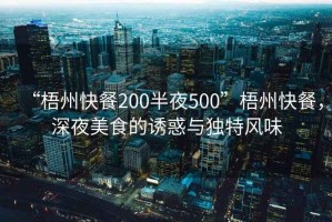 “梧州快餐200半夜500”梧州快餐，深夜美食的誘惑與獨特風(fēng)味