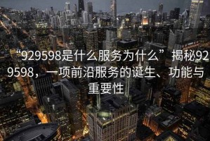 “929598是什么服務(wù)為什么”揭秘929598，一項前沿服務(wù)的誕生、功能與重要性
