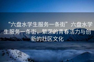 “六盤水學生服務(wù)一條街”六盤水學生服務(wù)一條街，繁榮的青春活力與創(chuàng)新的社區(qū)文化