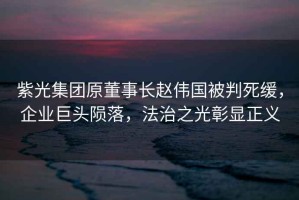紫光集團(tuán)原董事長(zhǎng)趙偉國(guó)被判死緩，企業(yè)巨頭隕落，法治之光彰顯正義