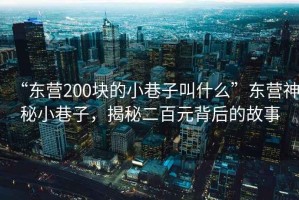 “東營200塊的小巷子叫什么”東營神秘小巷子，揭秘二百元背后的故事