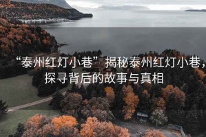 “泰州紅燈小巷”揭秘泰州紅燈小巷，探尋背后的故事與真相